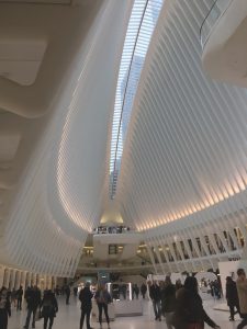 oculus New York